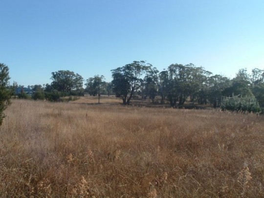 Property in Canyonleigh - Sold