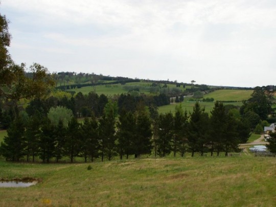 Property in Sutton Forest - Sold