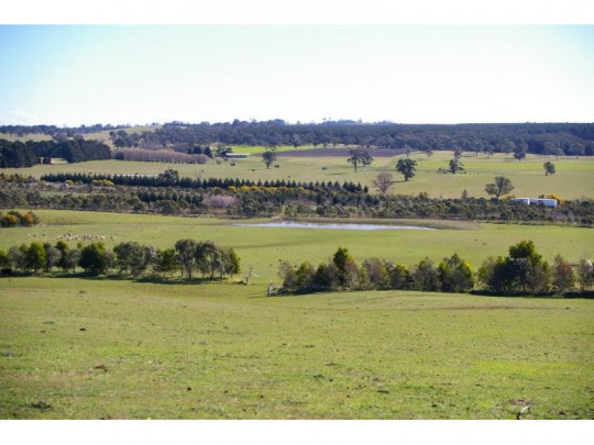 Property in Sutton Forest - Sold