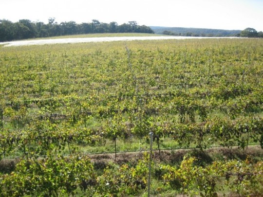 Property in Canyonleigh - Sold