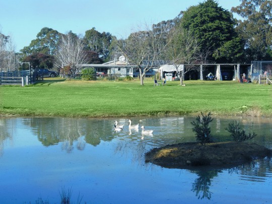 Property in Sutton Forest - Sold