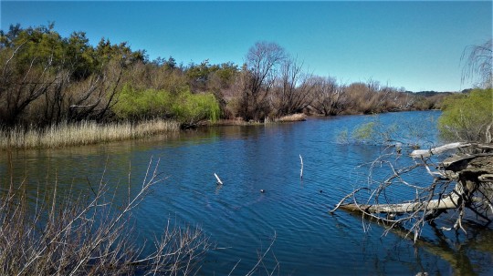 Property in Brayton - Sold