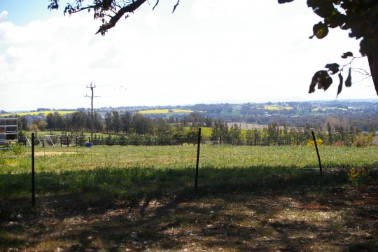 Property in Young - Sold