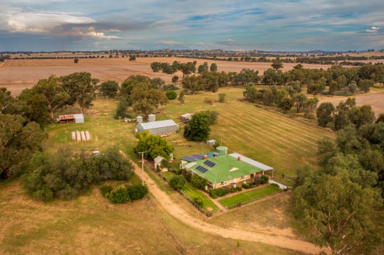 Property in Henty - Sold for $800,000