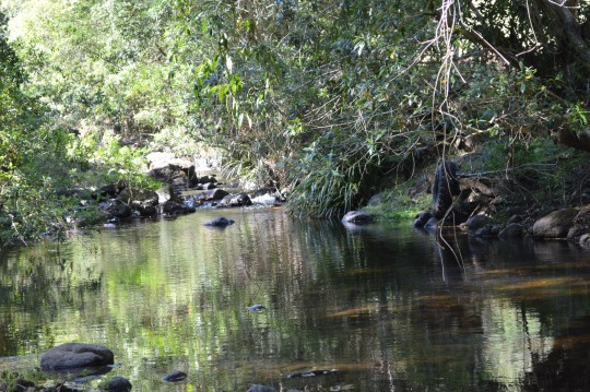 Property in Toms Creek - Sold