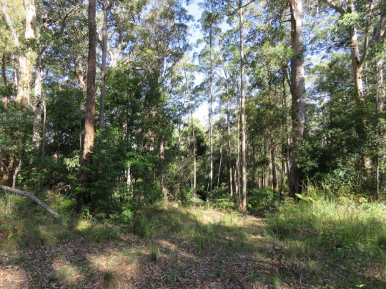 Property in Birdwood - $380,000