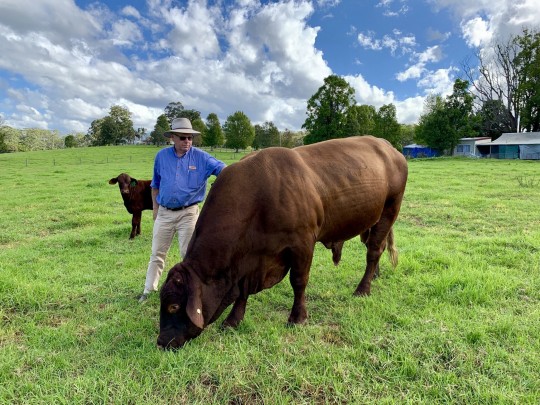 Property in Wauchope - $1,795,000