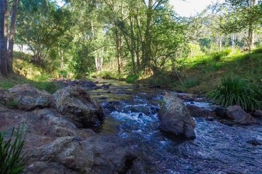 Property in Long Flat - $675,000