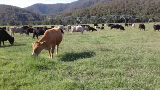 Property in Long Flat - P.O.A.