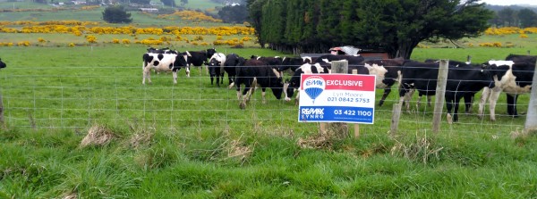 Property in Invercargill Surrounds - Sold