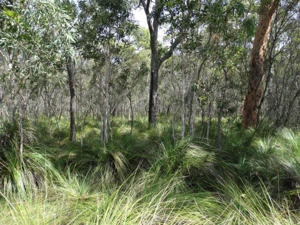 Property in Rules Beach - Sold for $118,000