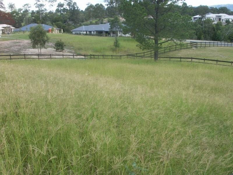 Real Estate in Maudsland