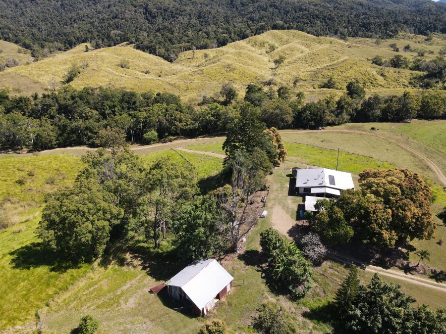 Real Estate in Mount Charlton