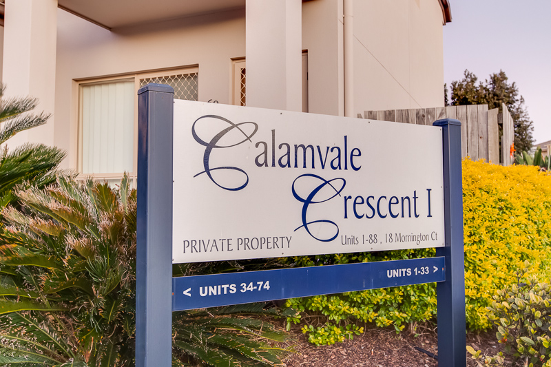 Calamvale Properties Sold