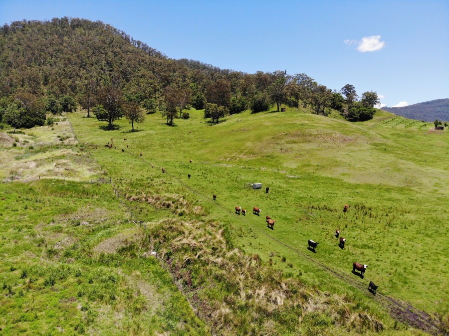 Real Estate in Roseberry Creek