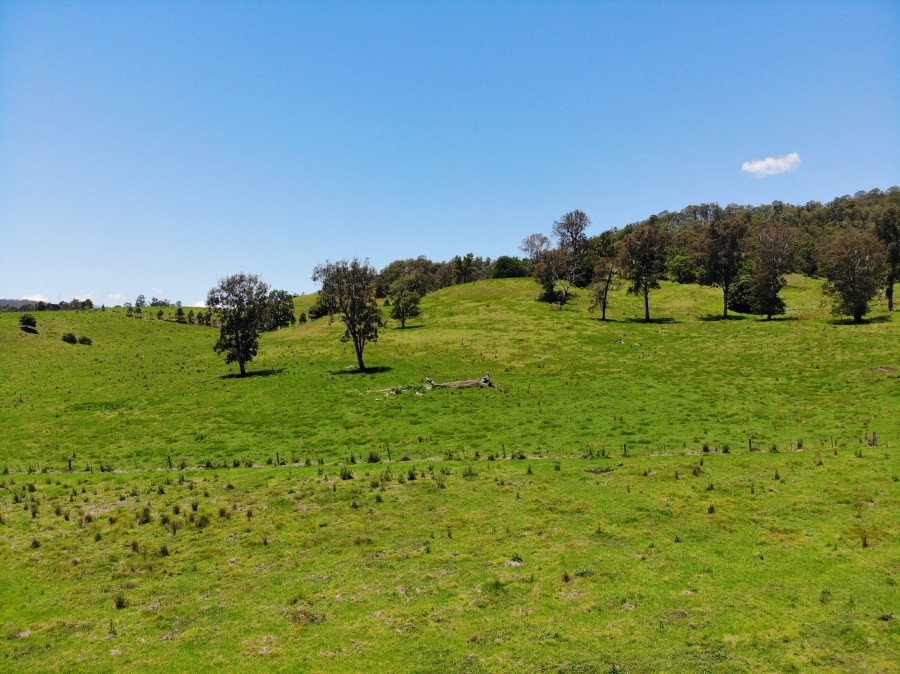 Real Estate in Roseberry Creek