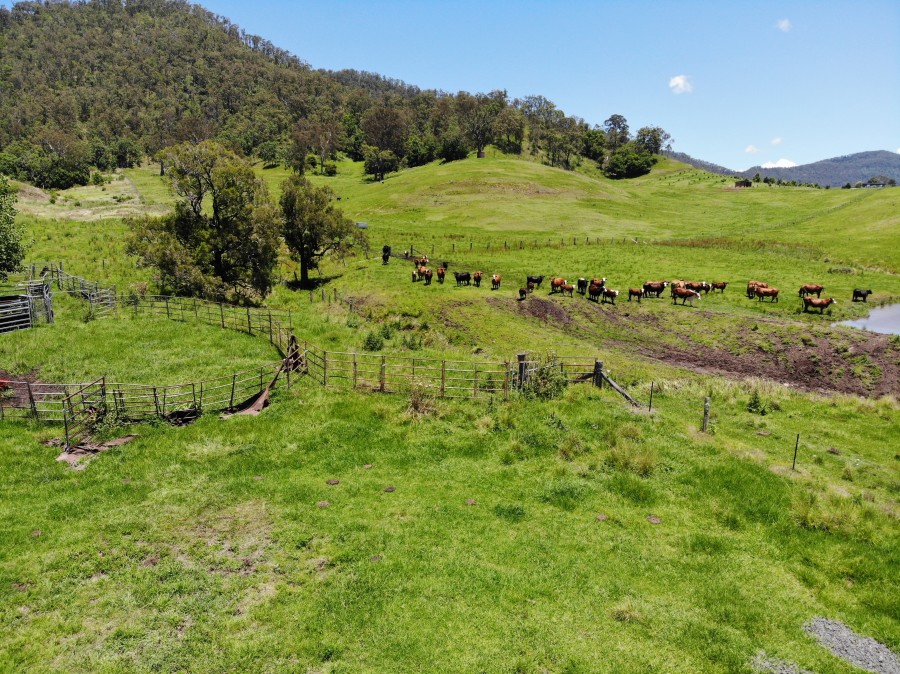 Real Estate in Roseberry Creek