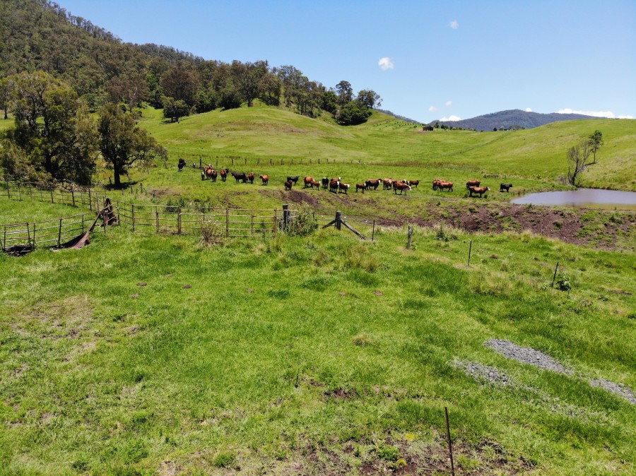 Real Estate in Roseberry Creek