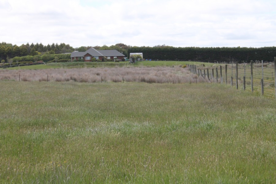 Waikiwi real estate For Sale