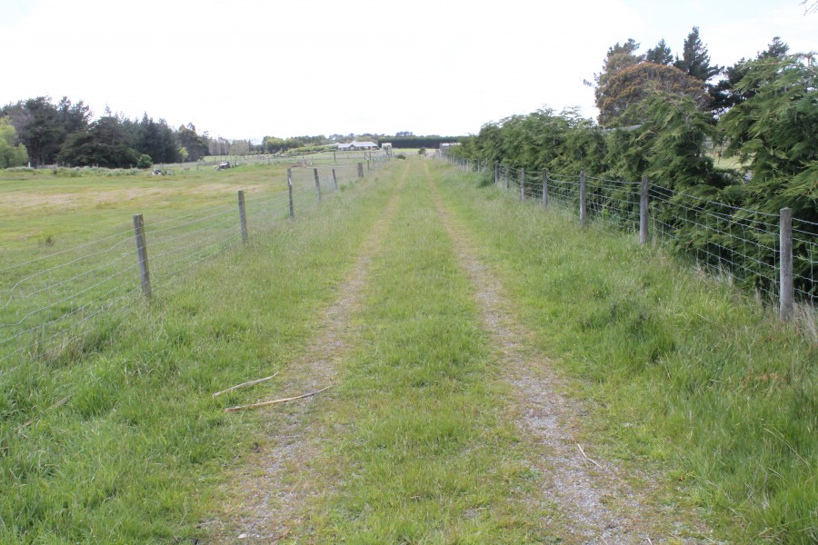 Property For Sale in Waikiwi