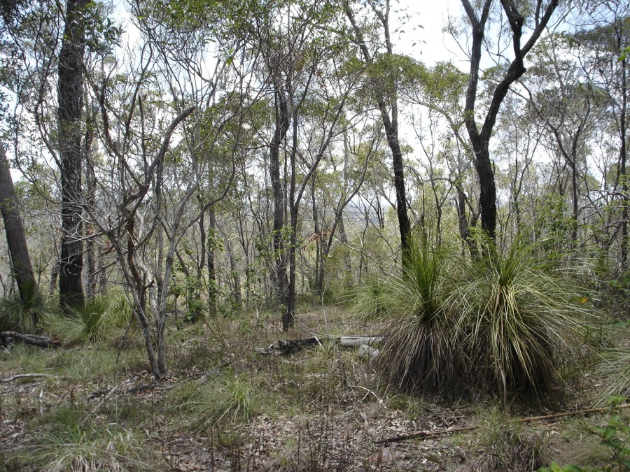 Baffle Creek Properties For Sale