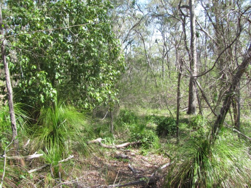 Real Estate in Baffle Creek