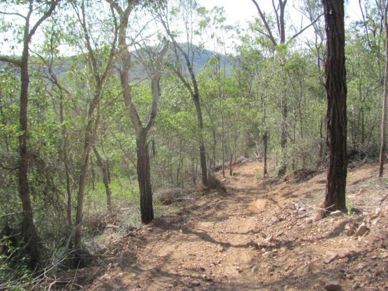 Real Estate in Baffle Creek