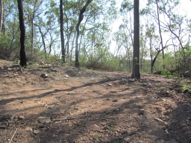 Real Estate in Baffle Creek