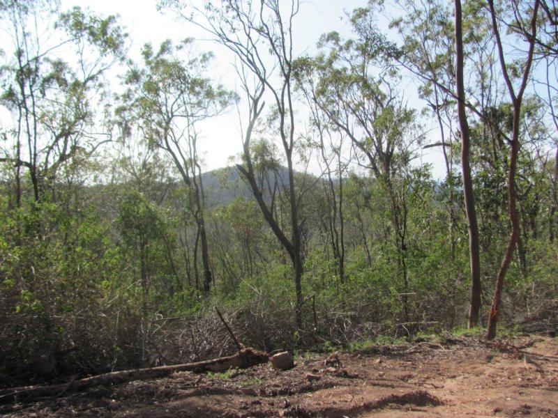 Real Estate in Baffle Creek