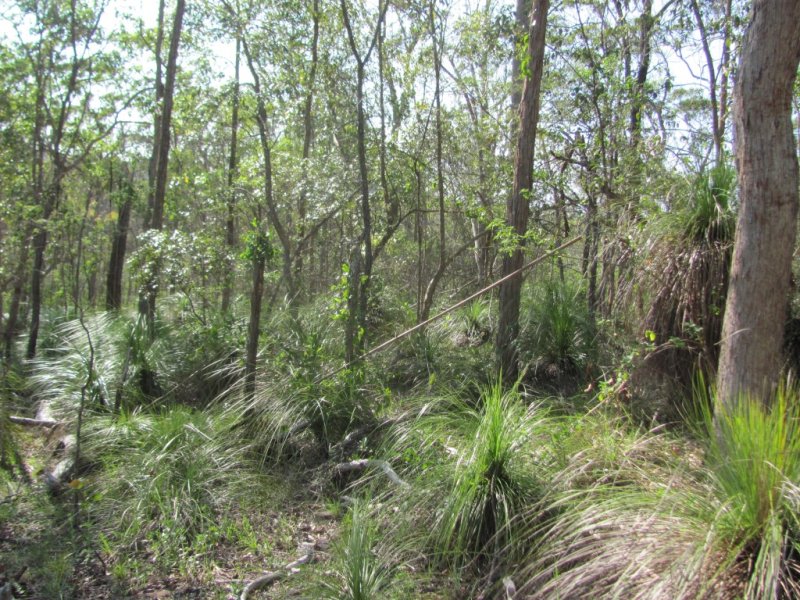 Real Estate in Baffle Creek