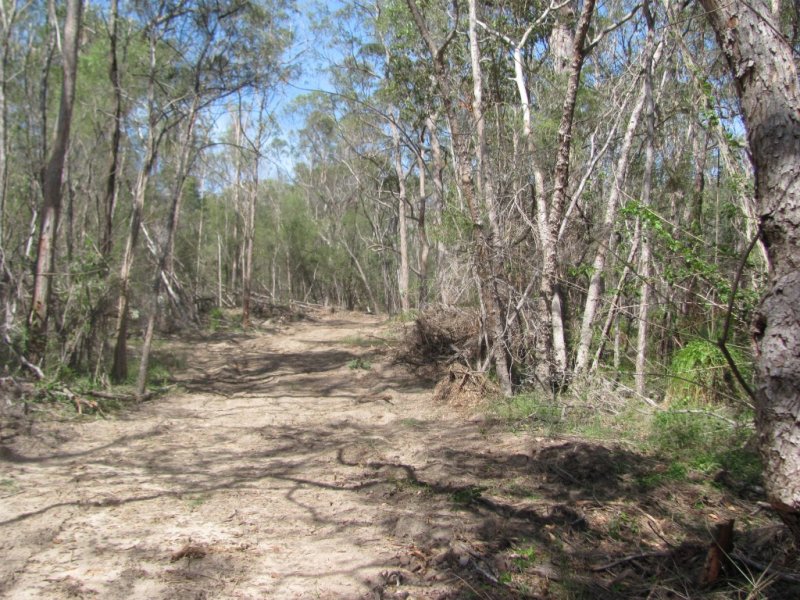 Real Estate in Baffle Creek