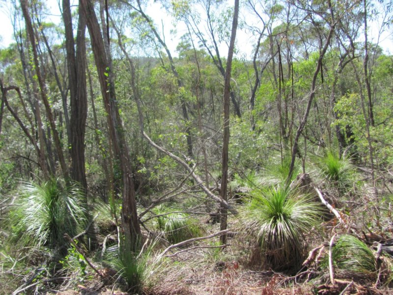 Real Estate in Baffle Creek