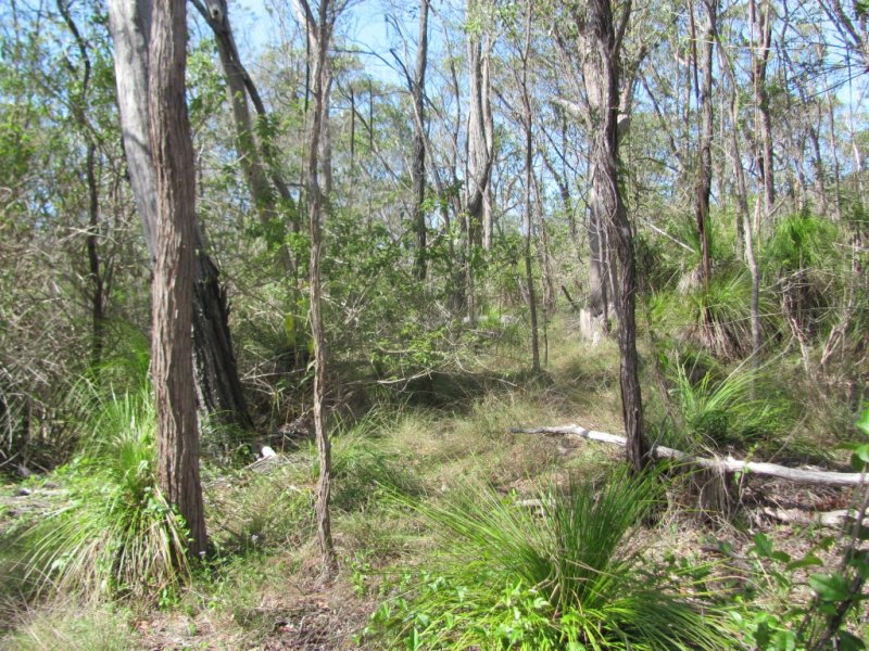 Real Estate in Baffle Creek