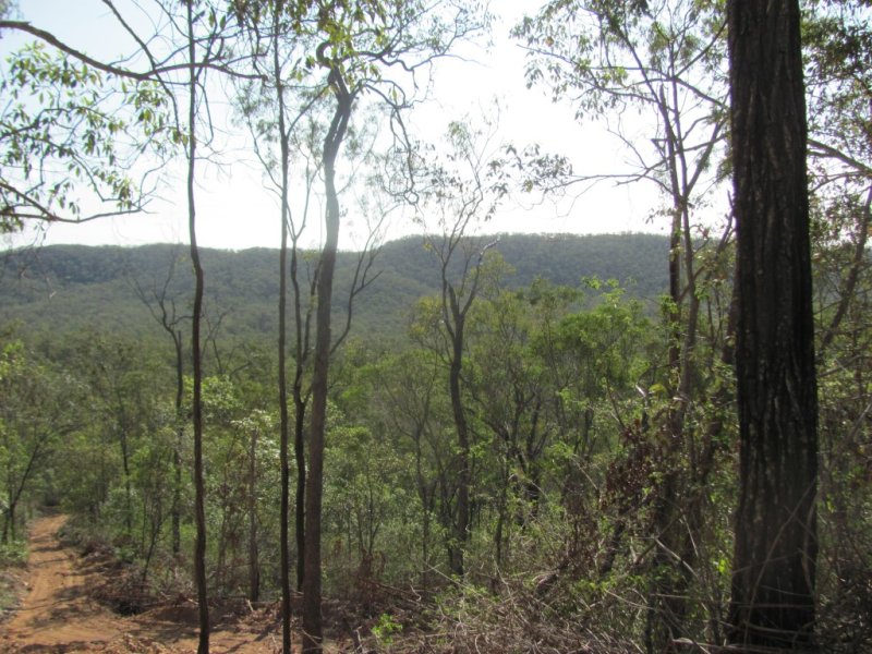 Baffle Creek real estate For Sale