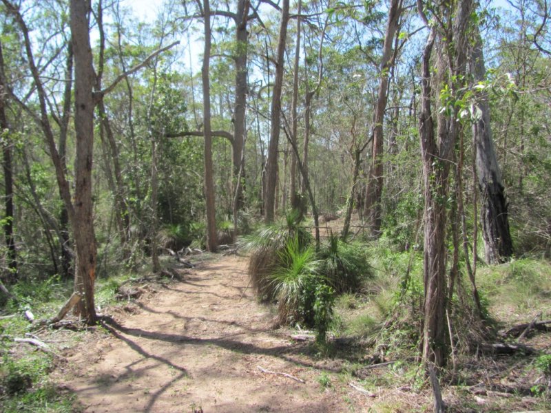 Real Estate in Baffle Creek