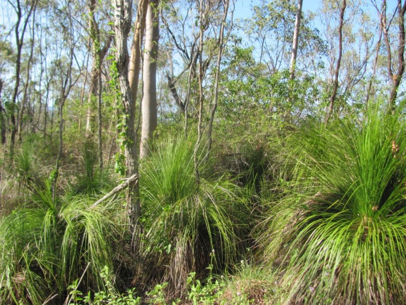 Open for inspection in Baffle Creek