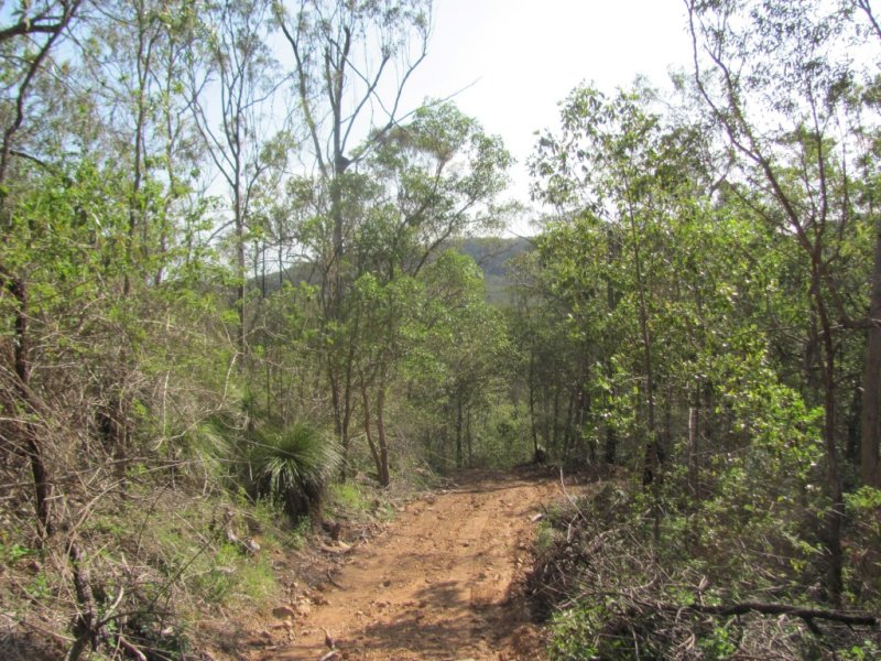 Real Estate in Baffle Creek