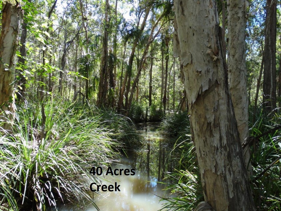 Property For Sale in Lowmead