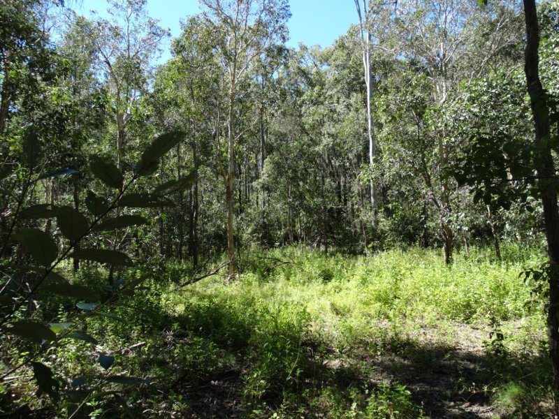 Real Estate in Lowmead