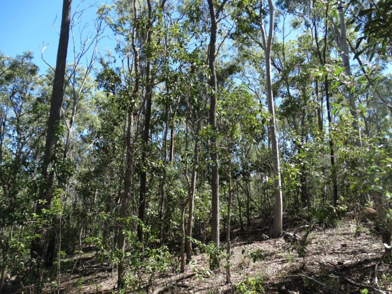 Real Estate in Lowmead