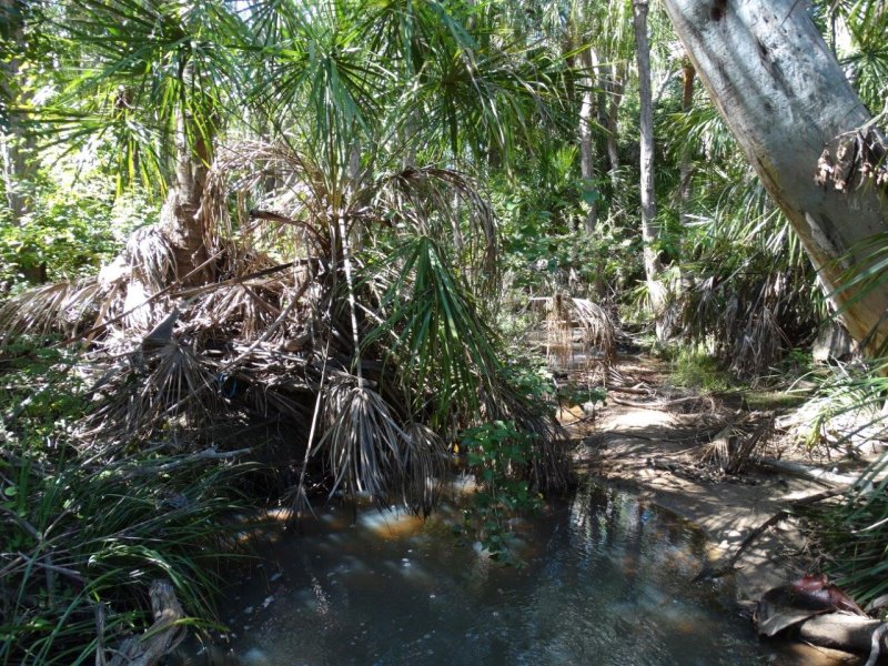 Real Estate in Lowmead