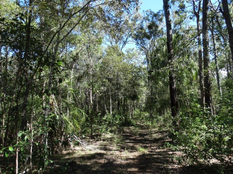 Real Estate in Lowmead