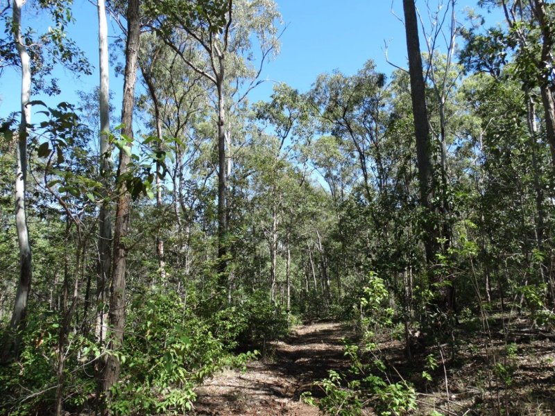 Real Estate in Lowmead