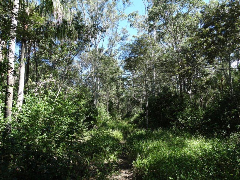 Real Estate in Lowmead