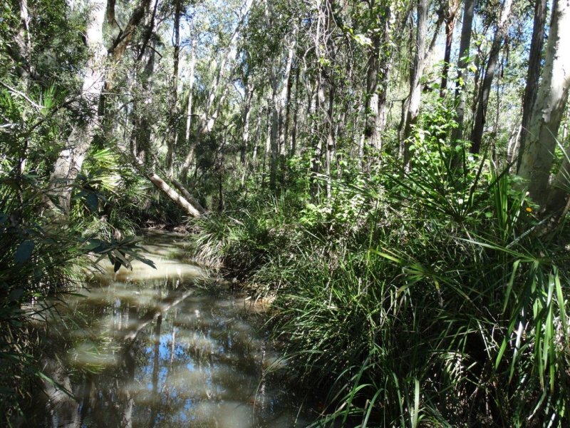 Real Estate in Lowmead