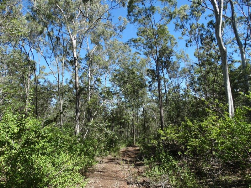 Real Estate in Lowmead