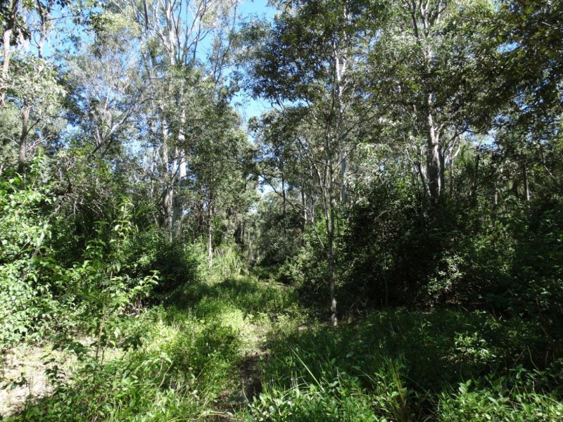 Real Estate in Lowmead