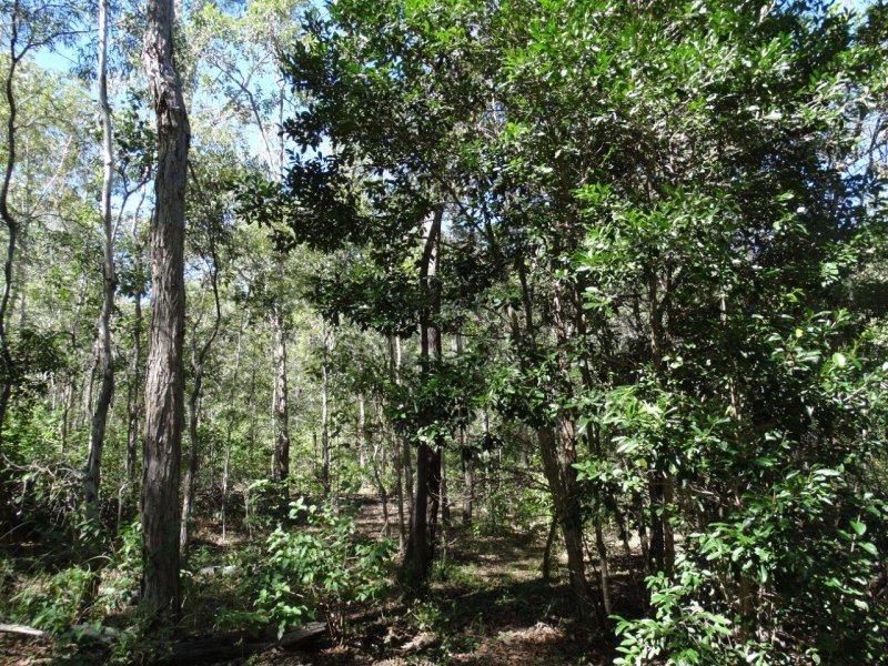 Real Estate in Lowmead