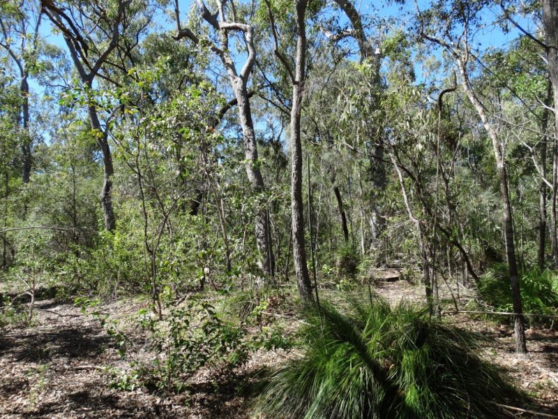 Real Estate in Lowmead