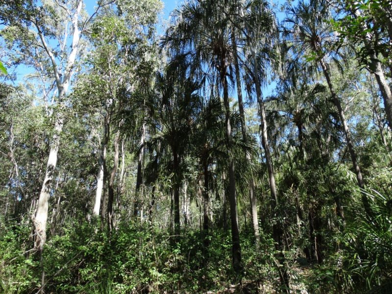 Lowmead real estate For Sale